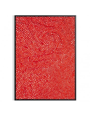 Affiche 2 Yayoi Kusama de l' environnement