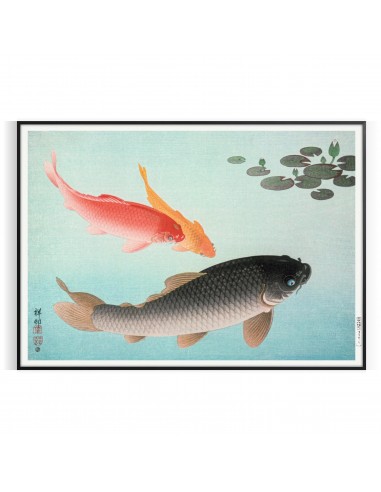 Affiche Japonaise Vintage Avec Poisson de France